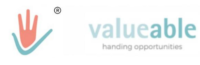 Footer_valueable-website_DEF